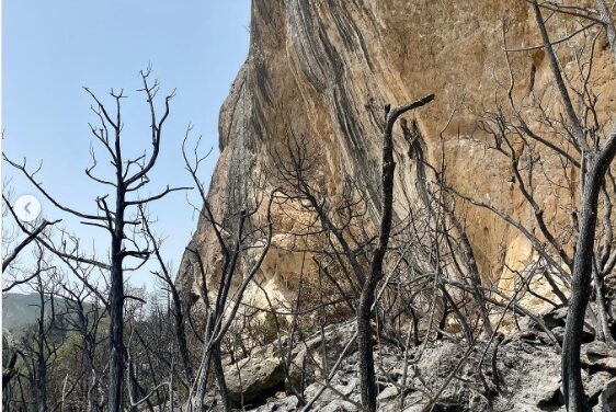 Waldbrand in Oliana - Einige Routen vermutlich unwiederbringlich zerstört
