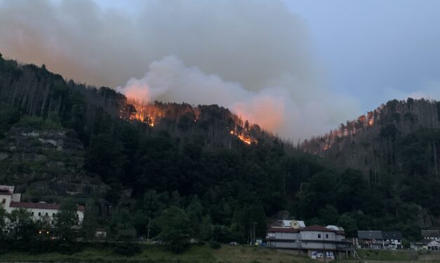 Neues aus den Klettergebieten: Weiter Waldbrände in der Sächsisch-Böhmischen Schweiz